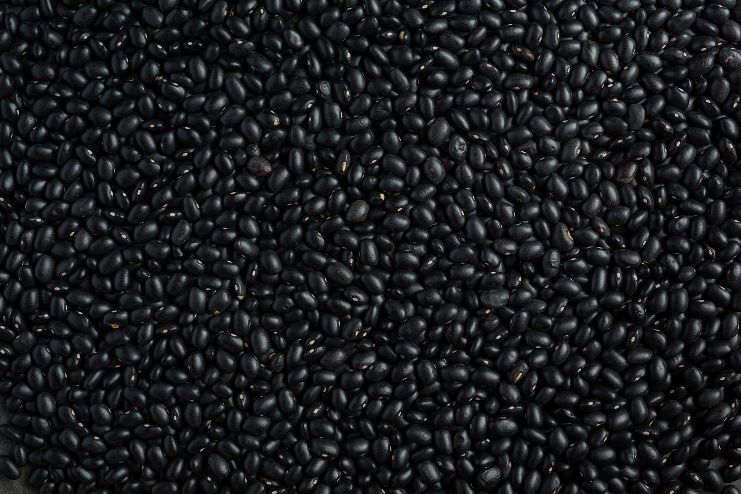 Add this to your diet and make your bones stromger (Image by jcomp on Freepik)